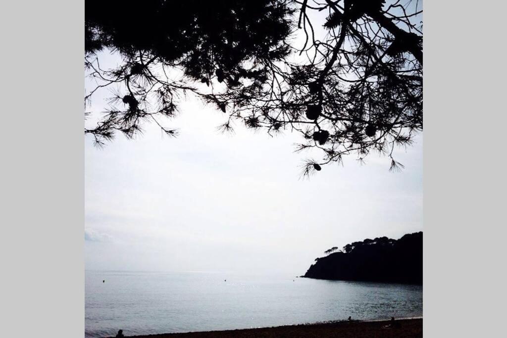 Vila Casita Blanca Con Fibra Optica Y Piscina Cominutaria Tossa de Mar Exteriér fotografie
