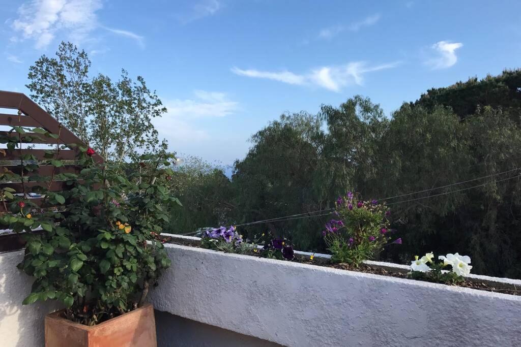 Vila Casita Blanca Con Fibra Optica Y Piscina Cominutaria Tossa de Mar Exteriér fotografie