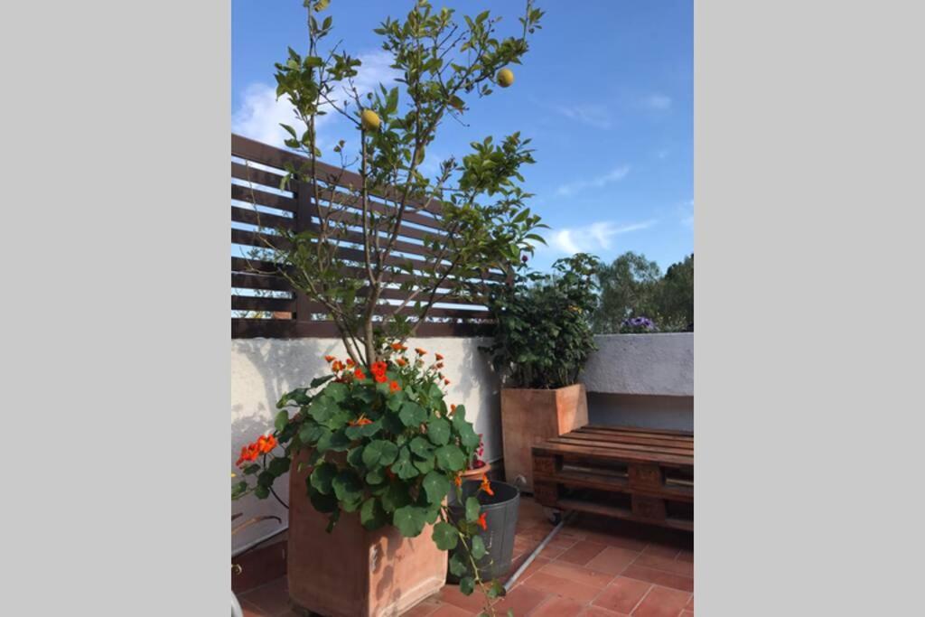 Vila Casita Blanca Con Fibra Optica Y Piscina Cominutaria Tossa de Mar Exteriér fotografie